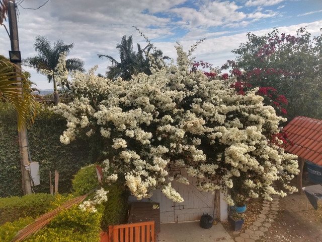 #1512 - Chácara para Venda em Atibaia - SP