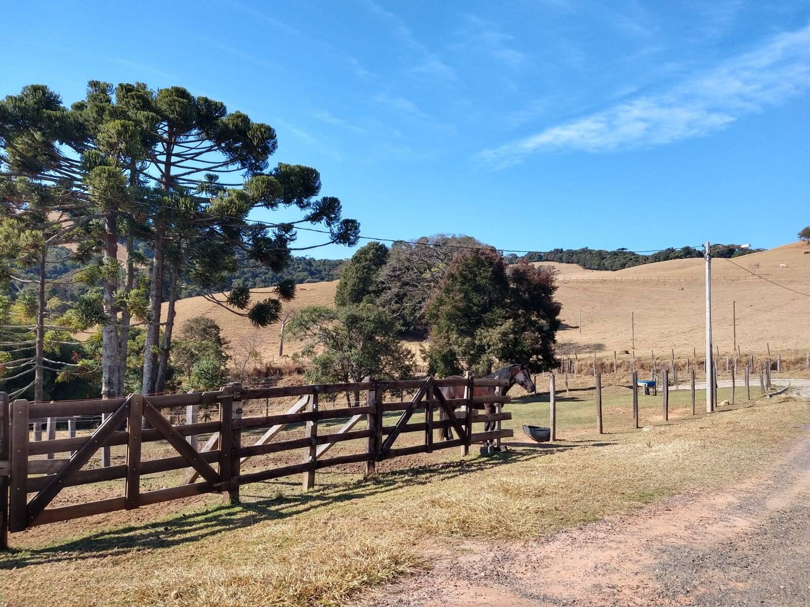 #1529 - Chácara para Venda em Camanducaia - MG